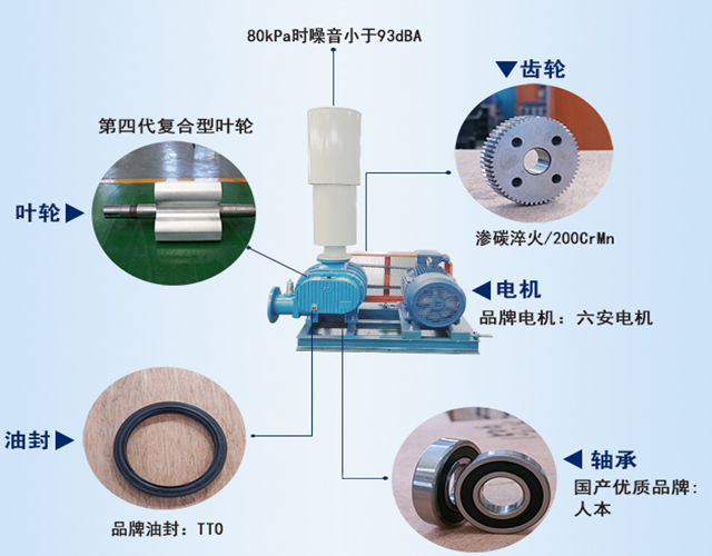 章丘豐源機械羅茨鼓風機產品結構說明圖 圖片關鍵詞
