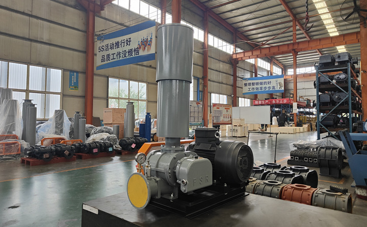 羅茨鼓風(fēng)機(jī)